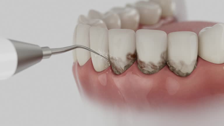 Reliable Dental contractor in Slidell, LA by Dentist Open Now